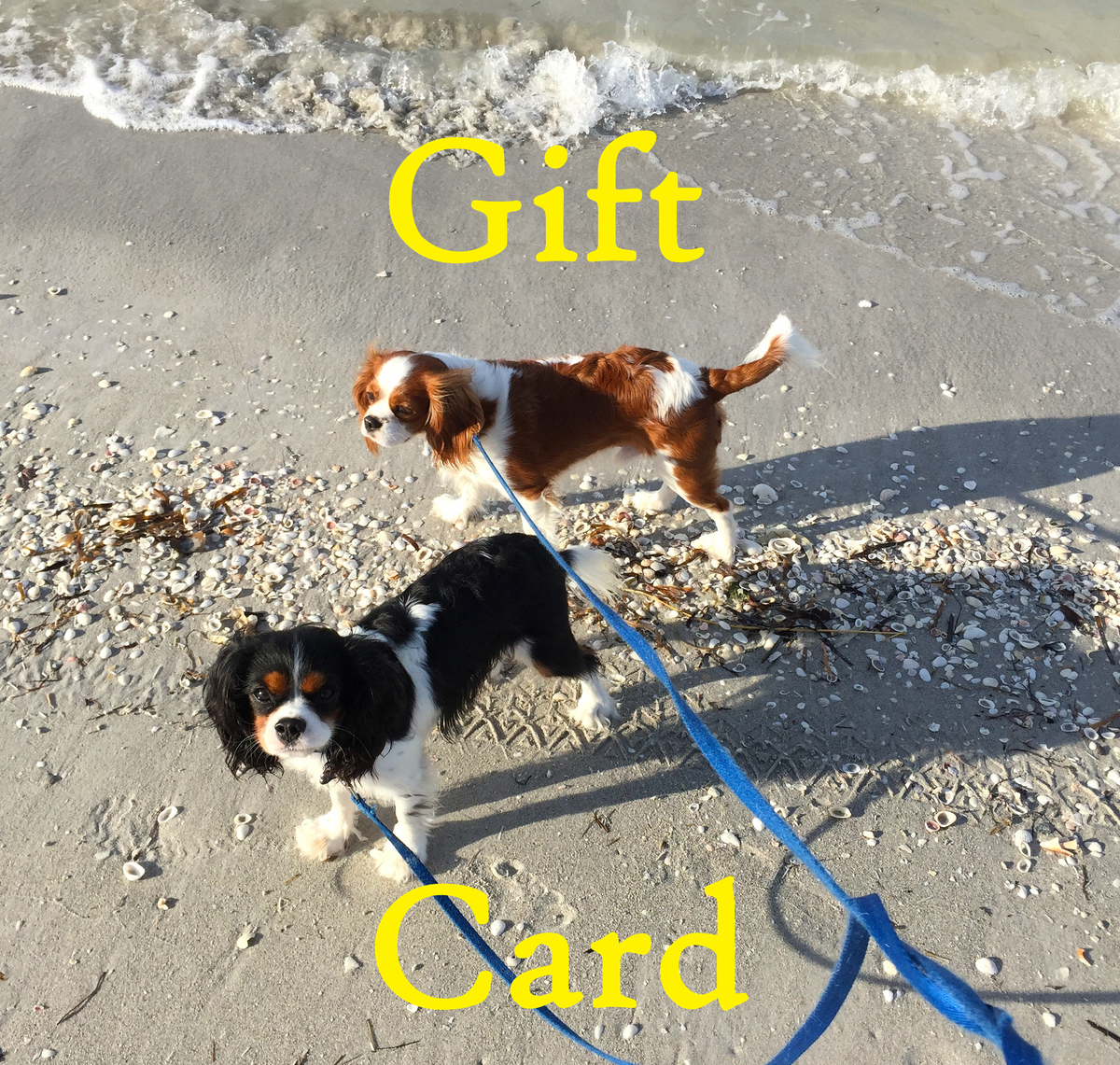 CavRescue.org Gift Card