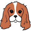 CavRescue.org - Home