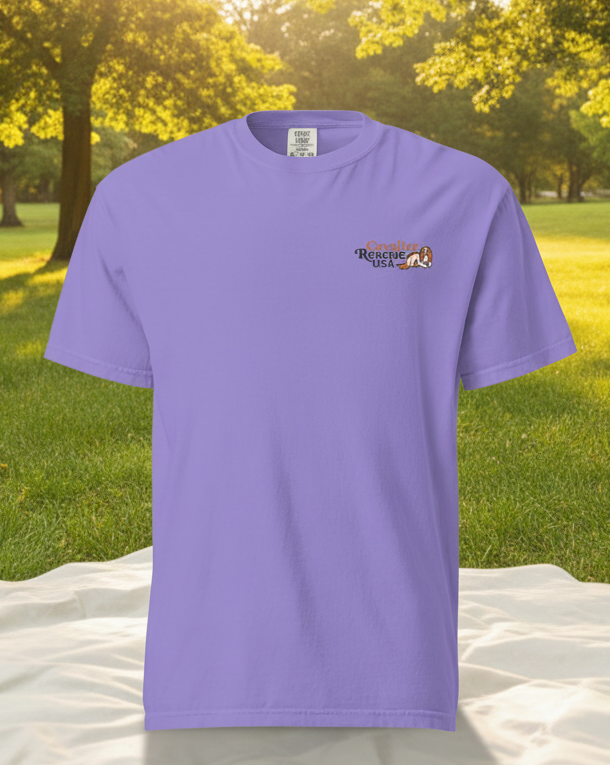 CR-USA DTFlex heavyweight T-shirt